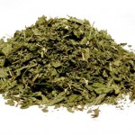 Dry urtica