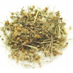 Dry tanacetum