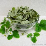 Dry fragaria leaves
