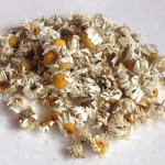 Dry camomile