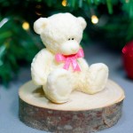 Chokolate bear cub