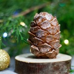 Chokolate cone 02