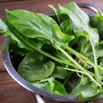 Fresh sorrel